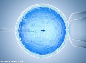 生殖科主任